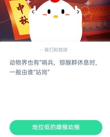 <a href=https://www.danji9.com/myzy/ target=_blank class=infotextkey>蚂蚁庄园</a>9月30日答案最新，动物界也有哨兵，猕猴群休息时一般由谁站岗？[多图]图片2