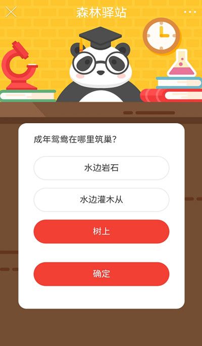 森林驿站11月7日最新答案分享，森林小课堂成年鸳鸯在哪里筑巢正确解答[多图]图片2