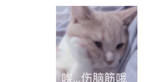 电子失恋怎么治？电子失恋怎么办[多图]