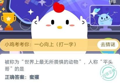 被称为世界上最无所畏惧的动物人称平头哥的是？蚂蚁庄园12月8日今日答案[图]