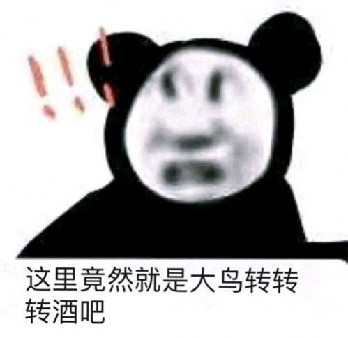 大鸟转转转表情包是什么梗？大鸟转转转表情包的来源介绍[多图]