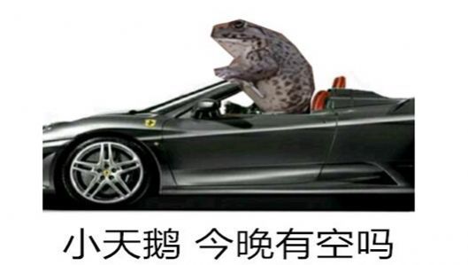 小天鹅出来解解馋表情包,小天鹅出来解解馋动图[多图]