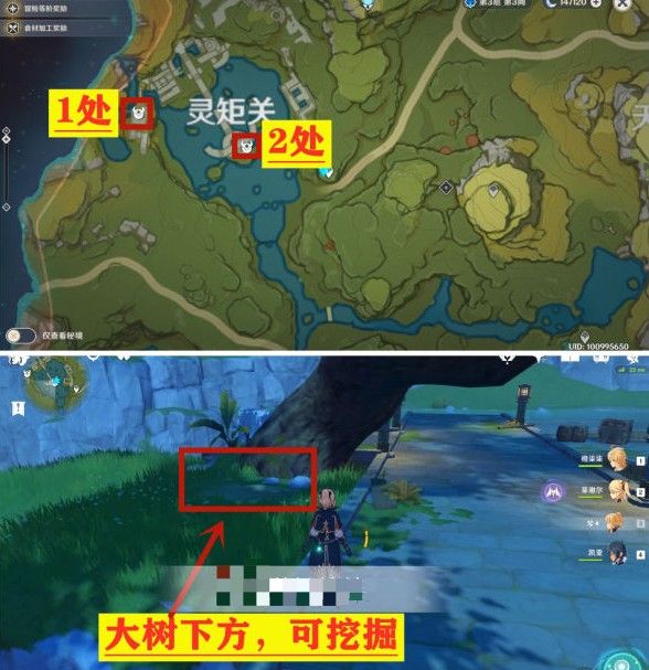 原神灵矩关和青墟浦无名宝藏坐标位置分享[视频][多图]