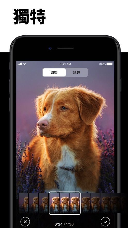 我的动态壁纸怎么退订？我的动态壁纸app如何取消自动续费[多图]