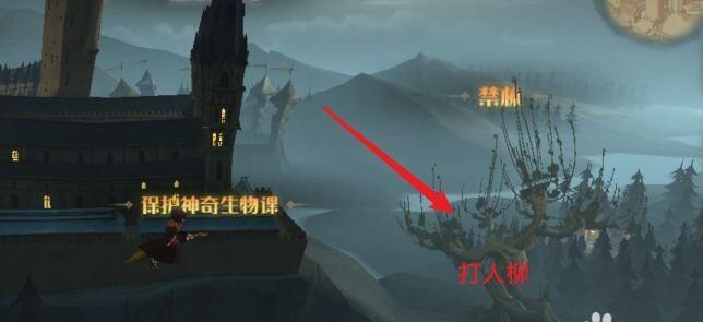 哈利波特魔法觉醒禁林打人柳逃课怎么打？禁林打人柳逃课通关攻略[多图]